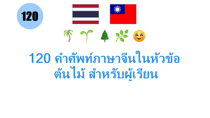 120 คำศัพท์ภาษาจีนในหัวข้อ: ต้นไม้ สำหรับผู้เรียน